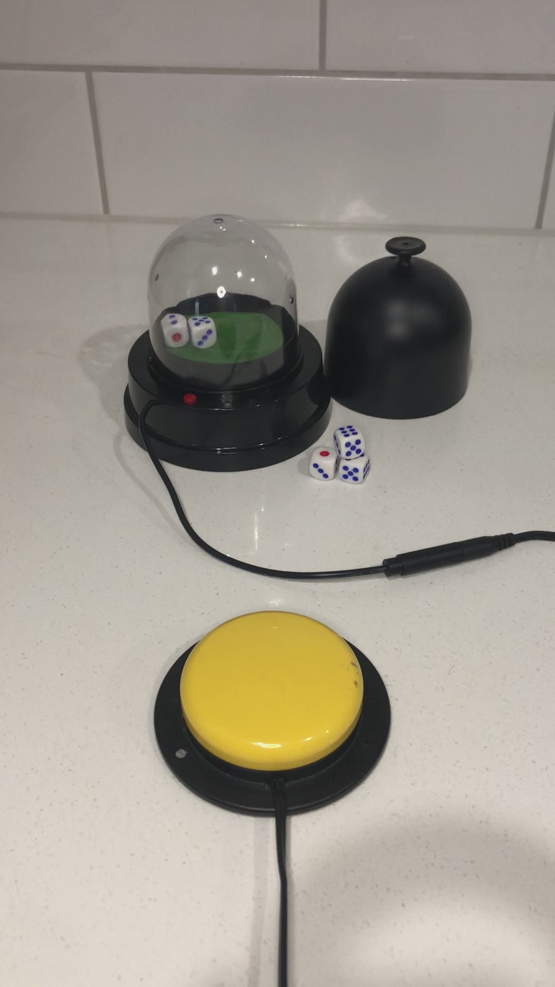 Dice Roller switch adapted Accessible Play